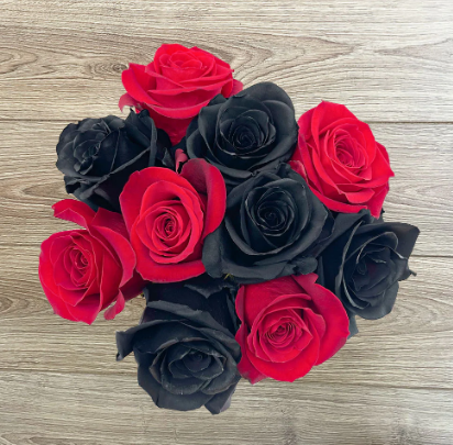 Dark and Red Roses